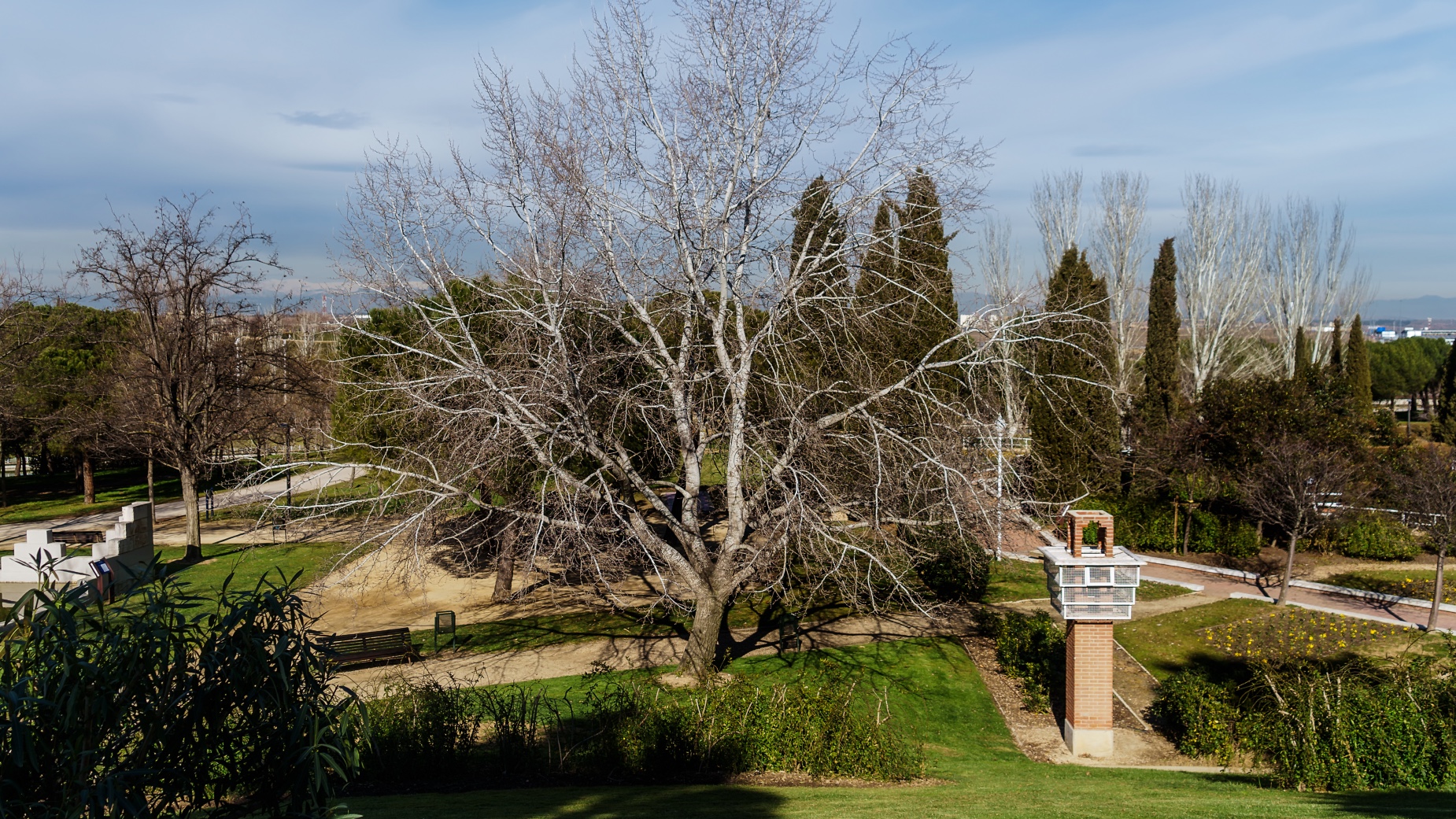 deportes gratis parque Juan Carlos I Madrid