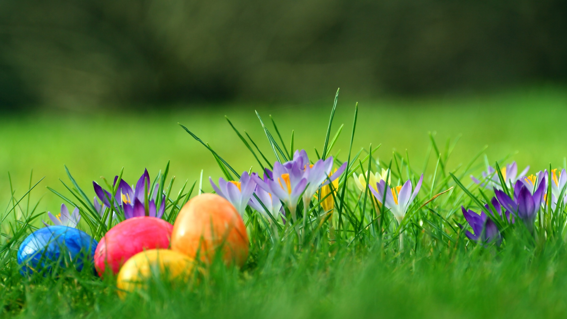 Semana Santa - huevos pascua