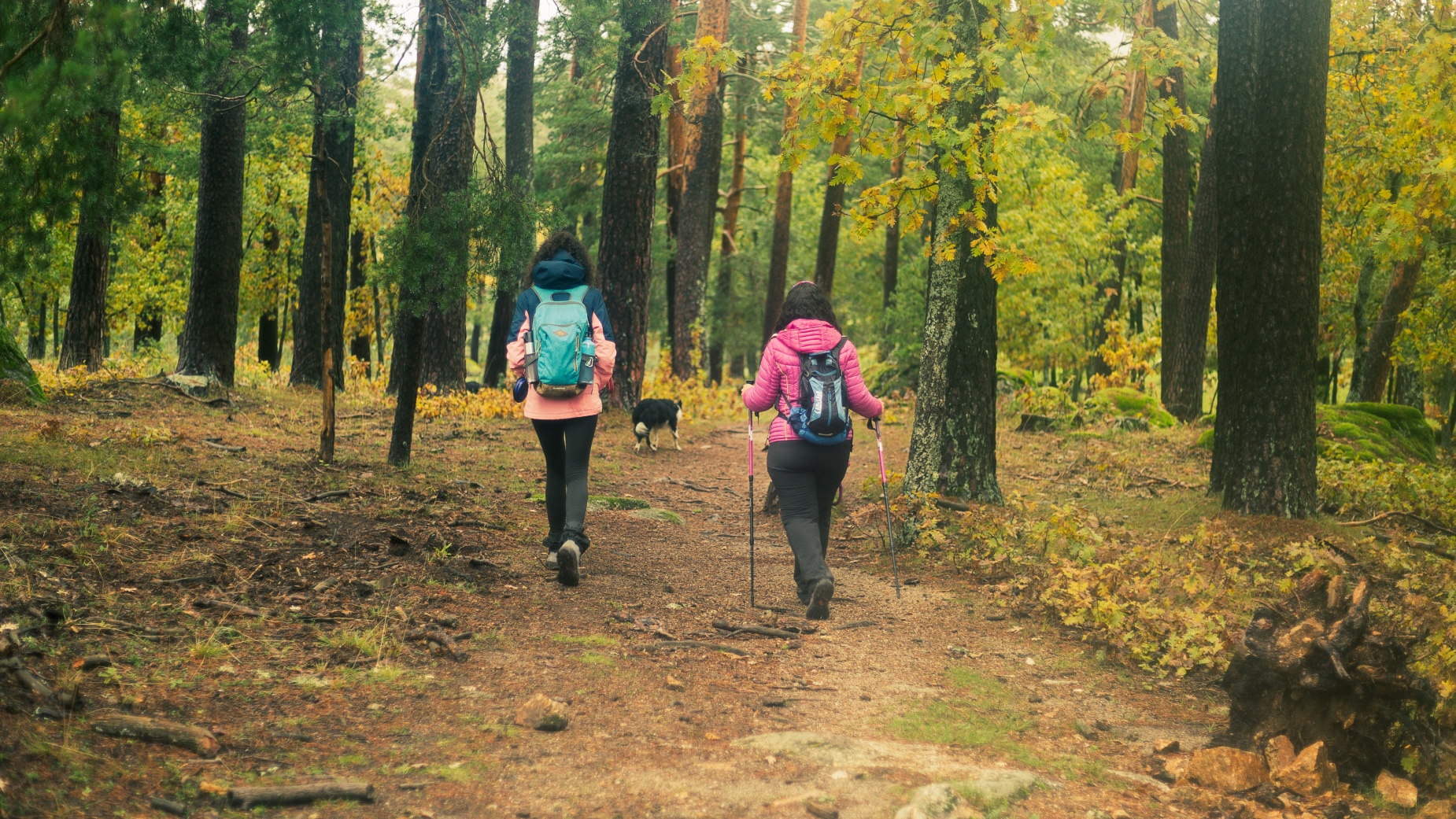 Sierra del Guadarrama - Camino Schmidt