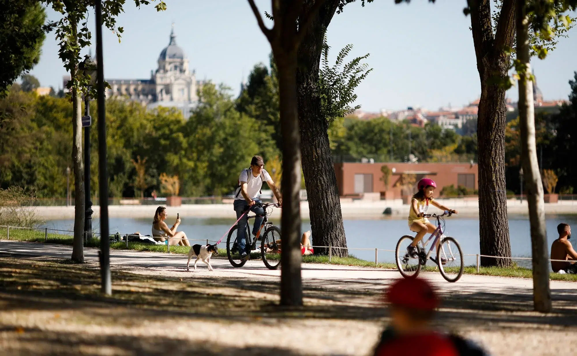 casa campo madrid