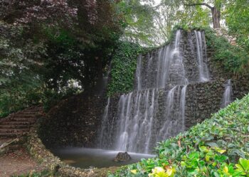 fuente del berro 1