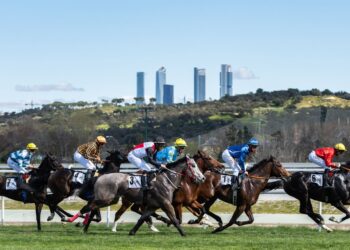 Hipódromo Madrid, Hipódromo de la Zarzuela,