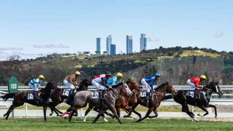 Hipódromo Madrid, Hipódromo de la Zarzuela,