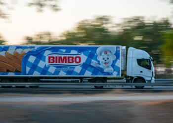 Bimbo