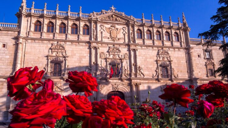 Fiestas Alcalá de Henares 2024,