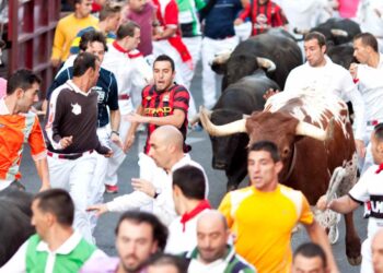 encierros San Sebastián de los Reyes, encierros sanse, toros, horario, participación, ganadería