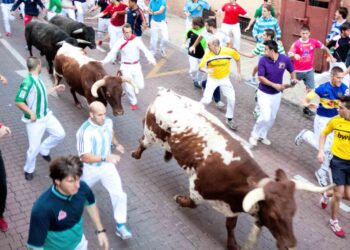 fiestas sanse, encierros, madrid, toros