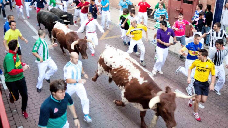 fiestas sanse, encierros, madrid, toros