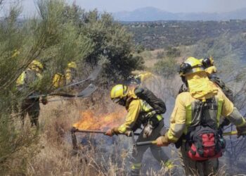 Incendio El Molar, Incendio Pedrezuela